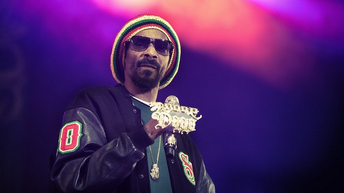 Snoop Dogg and Crypto